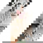 Aphakon Sattaphan profile icon
