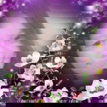 น.สเสาตีมะ สิกะคาร profile icon