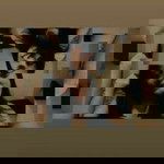 Wini Mussafa profile icon