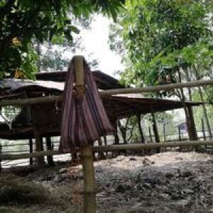 ใบศรี โยธายุทธ profile icon