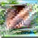 Triezna Haidar profile icon