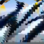 sarah Begum profile icon