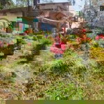 Ika Noviana Savitri profile icon