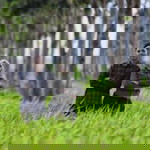 Putri Nindiasari profile icon