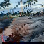 Puji Dwi Astuti profile icon