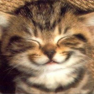 Siti Farahani profile icon