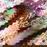 nur amirah profile icon