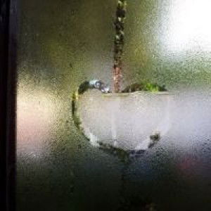 Intania Pharamita profile icon