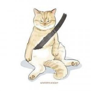 انا ريس profile icon