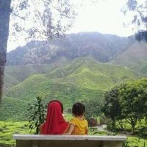 Sity Zack profile icon