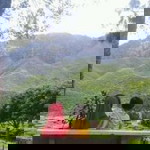 Sity Zack profile icon