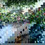 SelvieJuwita profile icon