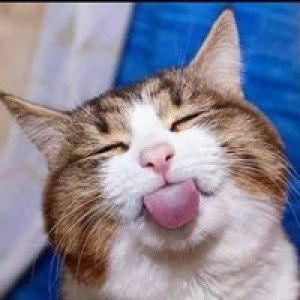 Rika Nursafitri profile icon