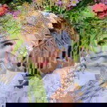 Lusy Apriani profile icon