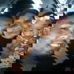 Norain Othman profile icon