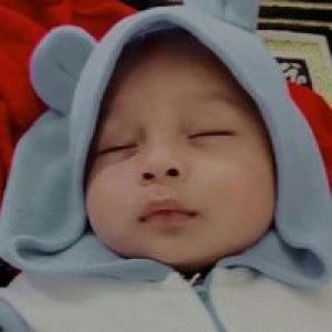 sansaneemasa profile icon