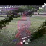 Bunda'na Shifa Aysha profile icon