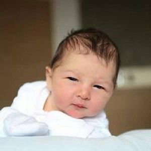 ดอกไม้ ในอิสลาม profile icon