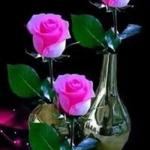 Ira Nahira profile icon