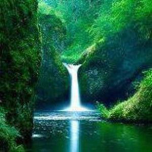 Ummu Yoga profile icon