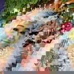 Rachmaydha Rahmaa profile icon