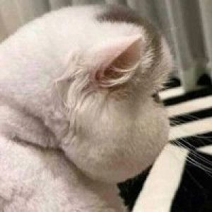 Dilah Nasa profile icon