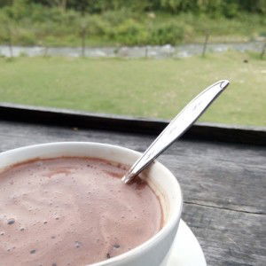 desmiana nasution profile icon