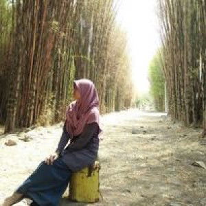 Anisah Sri profile icon