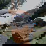 จรรยพร profile icon