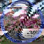 Jell Pascual profile icon