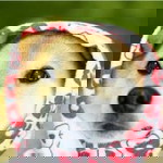 Trần Thêu profile icon