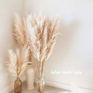 Maya Rain profile icon