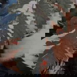 Nindi Riyani profile icon