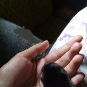 Nina Nuraini profile icon