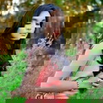 Della Agnessia profile icon