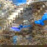 Norma Shu profile icon