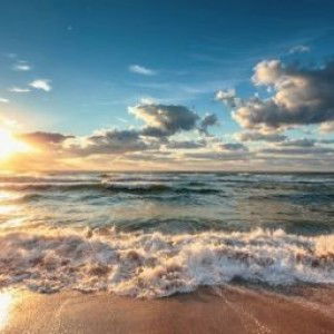 ally.qis profile icon