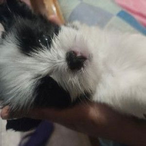 Tory By profile icon