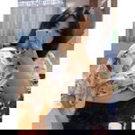 สุริยาพร ฯ. profile icon