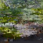 Rung Gia profile icon