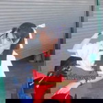 เฟิร์น. profile icon