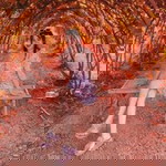 วราภรณ์ แนนสินธุ์ profile icon