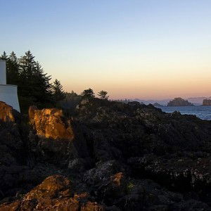 Madelaine Gonzales profile icon