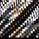 Amira Izzati Ismail profile icon