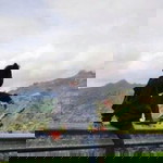 Rofiq Tcah Arka profile icon