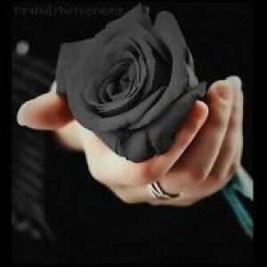 Pupung Rohaeti profile icon