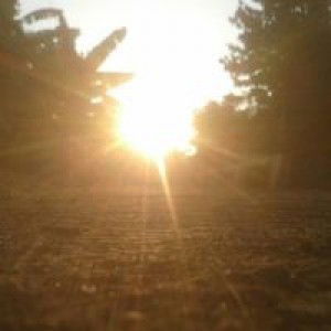 Noepha Phanchen profile icon