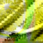 eka prasetia bakti profile icon