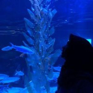 Faricha Astri Ananda profile icon