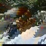 diens Forever profile icon